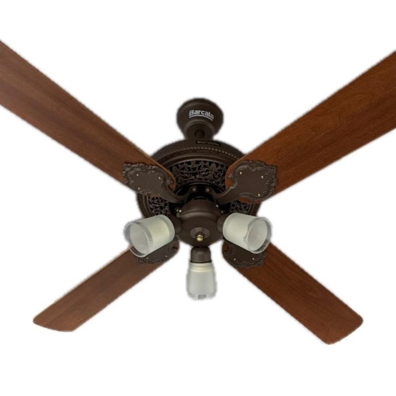 WhatsApp Image 2026-01-12 at 2.08.28 PM (2)