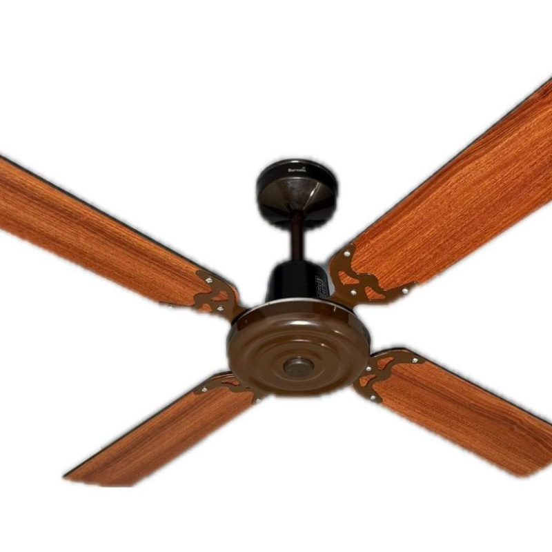 WhatsApp Image 2026-01-13 at 11.07.06 AM